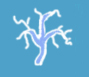 Neurological Endovascular Therapy